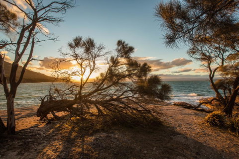 Freycinet Lodge - Accommodation Gladstone 44