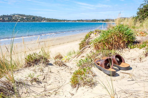 Aqua Beachfront! - Accommodation Gladstone 8