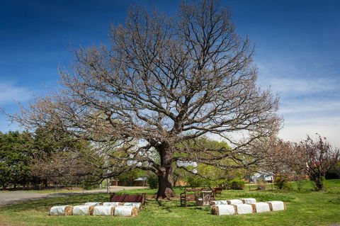 Ratho Farm - Accommodation Gladstone 8