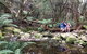 Derby Forest Cabins - thumb 17