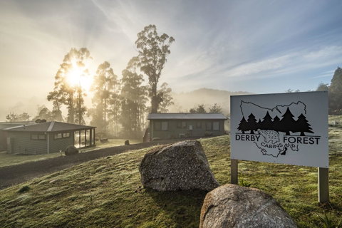 Derby Forest Cabins - Accommodation Gladstone 0