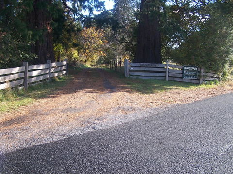 Drumreagh Cabins - Accommodation Gladstone 7