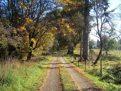 Drumreagh Cabins - Accommodation Gladstone 6