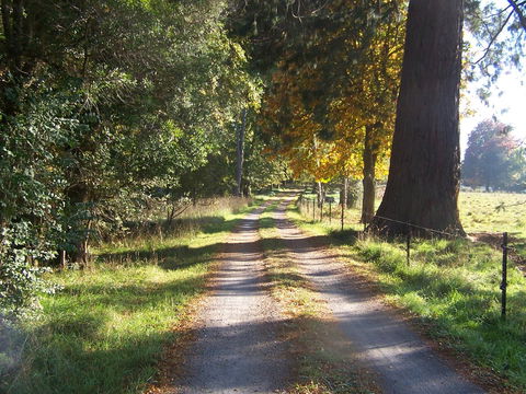Drumreagh Cabins - Accommodation Gladstone 5