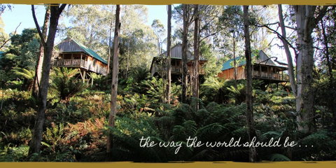 Lemonthyme Wilderness Retreat - Accommodation Gladstone 20