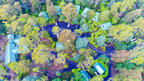 Lemonthyme Wilderness Retreat - Accommodation Gladstone 1
