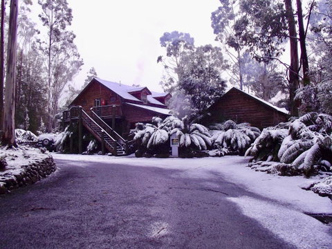Lemonthyme Wilderness Retreat - Accommodation Gladstone 12