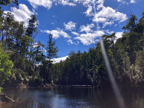 Lemonthyme Wilderness Retreat - Accommodation Gladstone 7