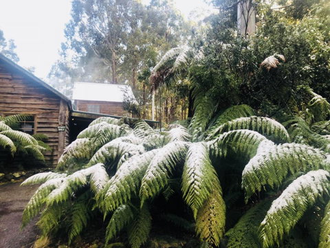 Lemonthyme Wilderness Retreat - Accommodation Gladstone 5