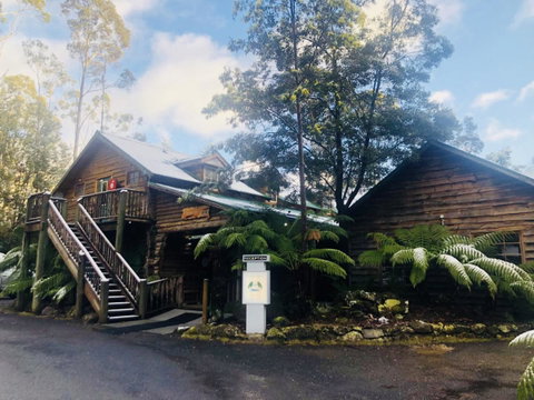 Lemonthyme Wilderness Retreat - Accommodation Gladstone 4