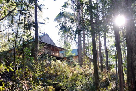 Lemonthyme Wilderness Retreat - Accommodation Gladstone 25
