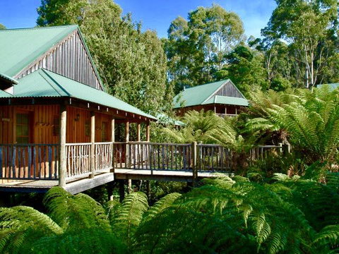 Lemonthyme Wilderness Retreat - Accommodation Gladstone 11