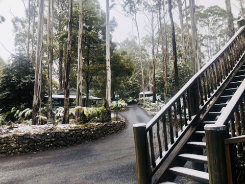 Lemonthyme Wilderness Retreat - Accommodation Gladstone 15