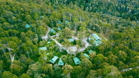 Lemonthyme Wilderness Retreat - Accommodation Gladstone 0