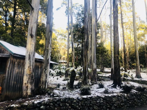 Lemonthyme Wilderness Retreat - Accommodation Gladstone 6