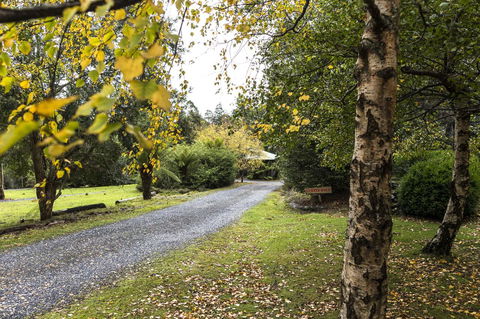Cradle Forest Inn - Accommodation Gladstone 36
