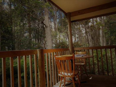 Cradle Forest Inn - Accommodation Gladstone 2