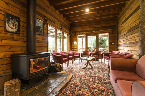 Cradle Forest Inn - Accommodation Gladstone 1