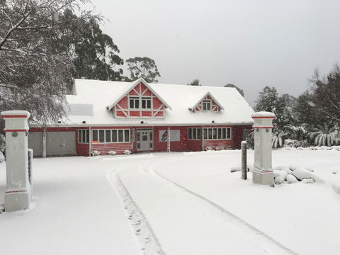 Cradle Forest Inn - Accommodation Gladstone 0