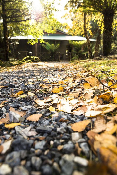 Cradle Forest Inn - Accommodation Gladstone 35