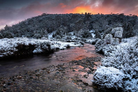 Peppers Cradle Mountain Lodge - Accommodation Gladstone 44
