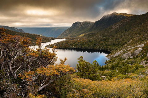 Peppers Cradle Mountain Lodge - Accommodation Gladstone 38