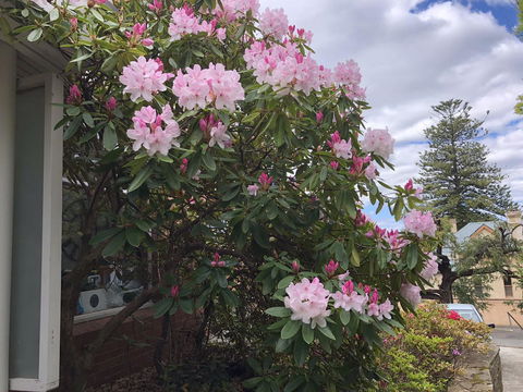 Studio SixA ... A Haven In The Heart Of Hobart - Accommodation Gladstone 19