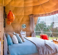 Domescapes in the Vines - Accommodation Gladstone