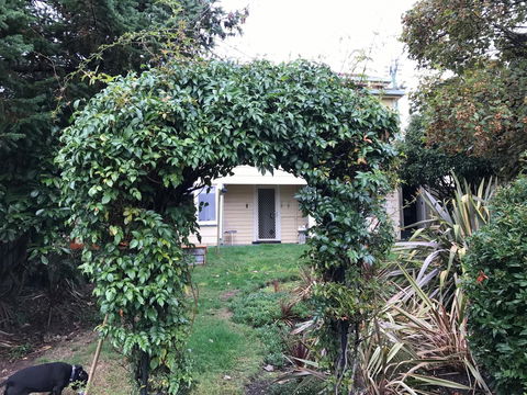 Maple Cottage - Accommodation Gladstone 26
