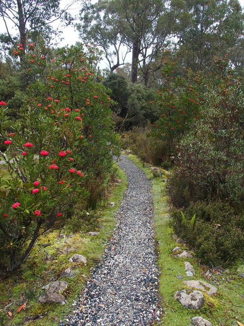 Cradle Highlander - Accommodation Gladstone 6