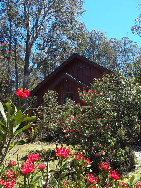 Cradle Highlander - Accommodation Gladstone 0