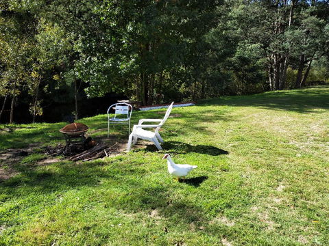 Wanderlust Cottage - Accommodation Gladstone 18