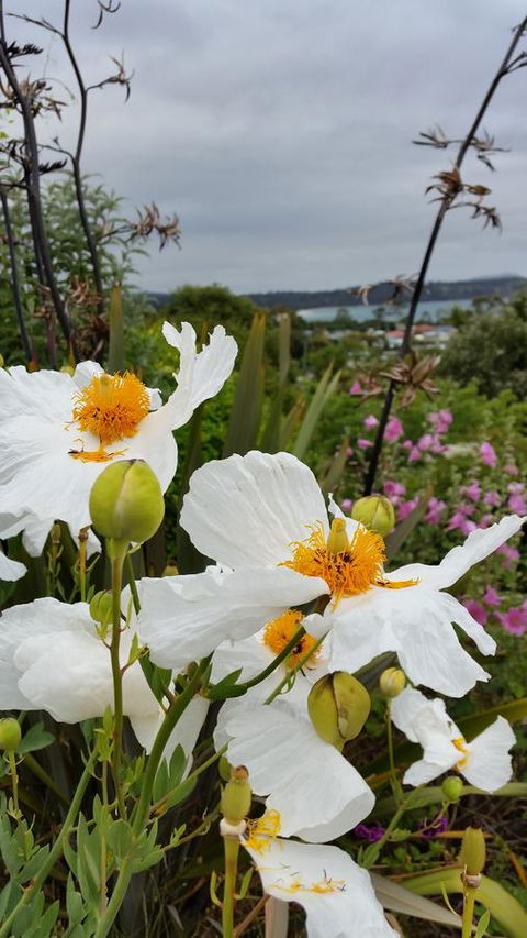 Beezneez B&B - Accommodation Gladstone 13