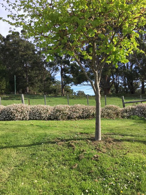 Nextdoor@portarthur - Accommodation Gladstone 17