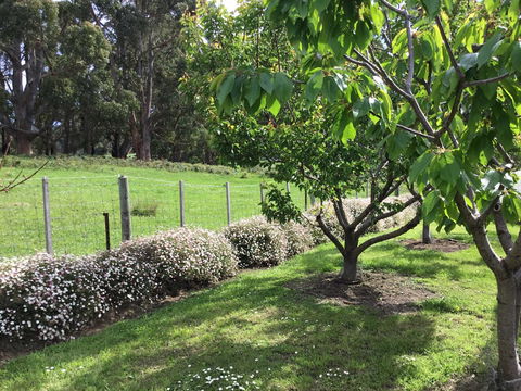 Nextdoor@portarthur - Accommodation Gladstone 18