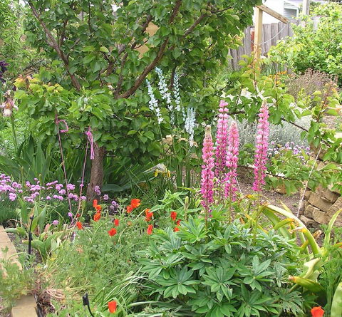 Bendalls Bed And Breakfast - Accommodation Gladstone 14