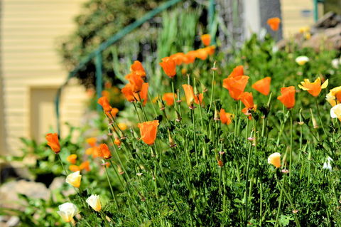 St. Pauls Bed & Breakfast - Accommodation Gladstone 44