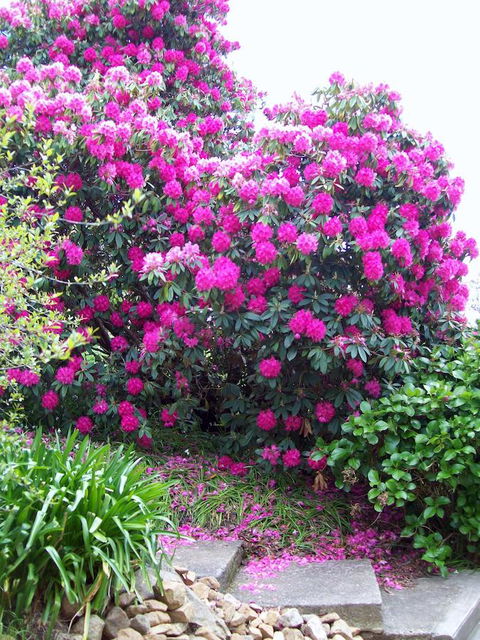 St. Pauls Bed & Breakfast - Accommodation Gladstone 2