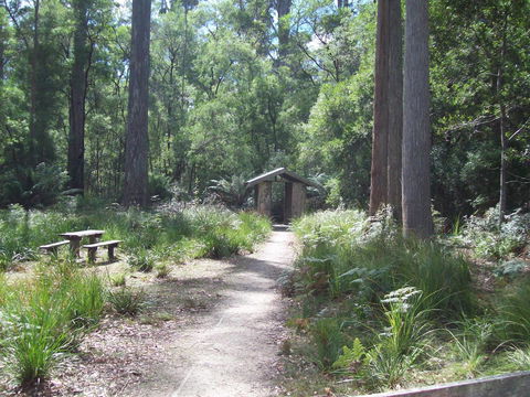St. Pauls Bed & Breakfast - Accommodation Gladstone 5