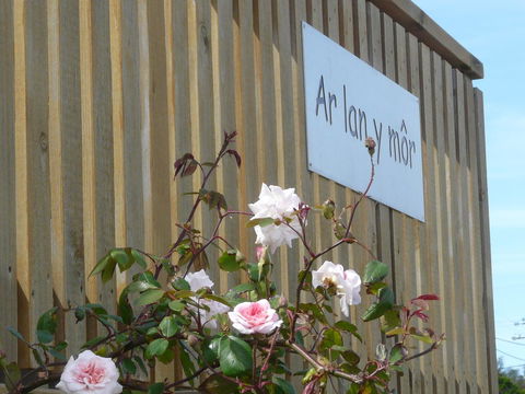 Ar Lan Y Mor - Accommodation Gladstone 12