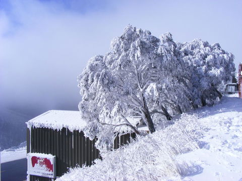 Arlberg Hotham - Accommodation Gladstone 15