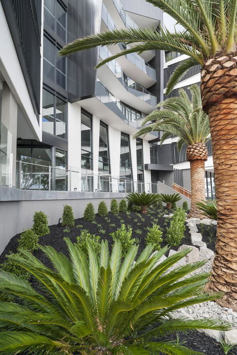 Caroline Serviced Apartments Sandringham - Accommodation Gladstone 3