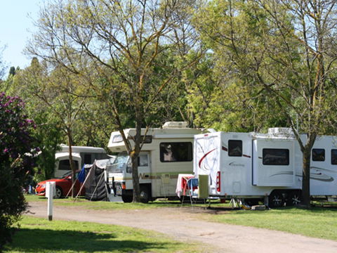 Tasman Holiday Parks - Geelong - Accommodation Gladstone 21