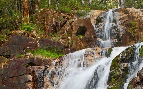 Marysville Caravan And Holiday Park - Accommodation Gladstone 37