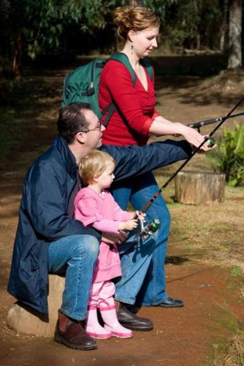 Marysville Caravan And Holiday Park - Accommodation Gladstone 22
