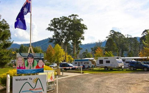 Marysville Caravan And Holiday Park - Accommodation Gladstone 34
