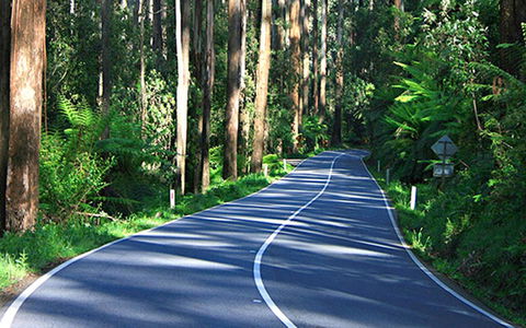 Marysville Caravan And Holiday Park - Accommodation Gladstone 40