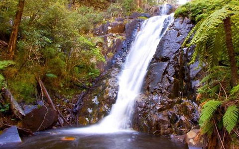 Marysville Caravan And Holiday Park - Accommodation Gladstone 32