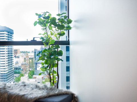 LittleStay Eporo - Central Apartments - Accommodation Gladstone 14