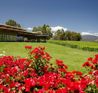 Balgownie Estate Vineyard Resort  Spa - Accommodation Gladstone